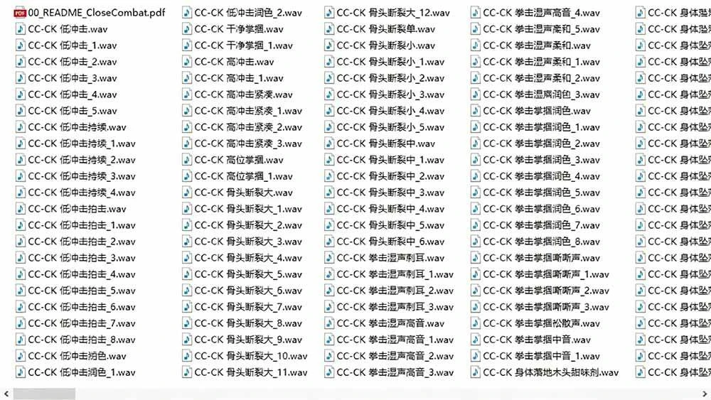 Close Combat 音效分类文件夹