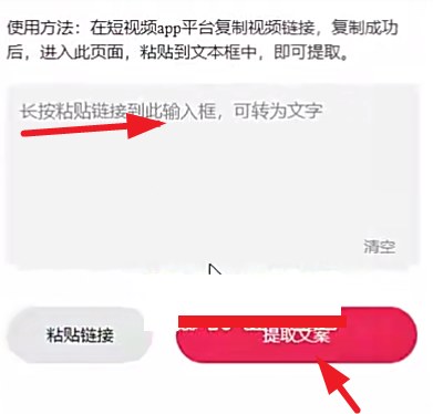 把链接粘贴进去提取文案