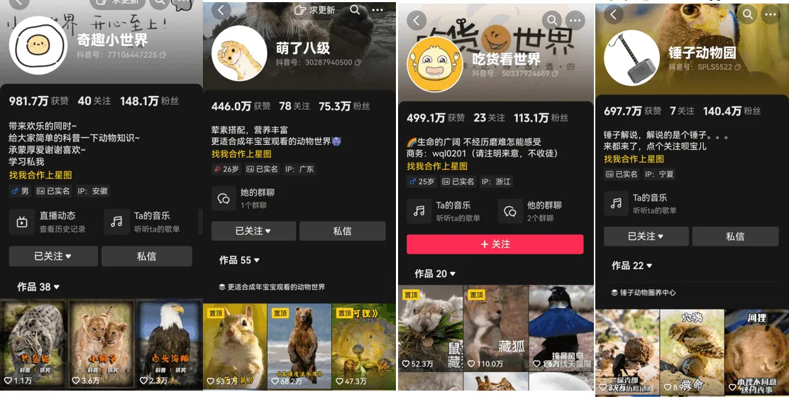 同行动物解说文案