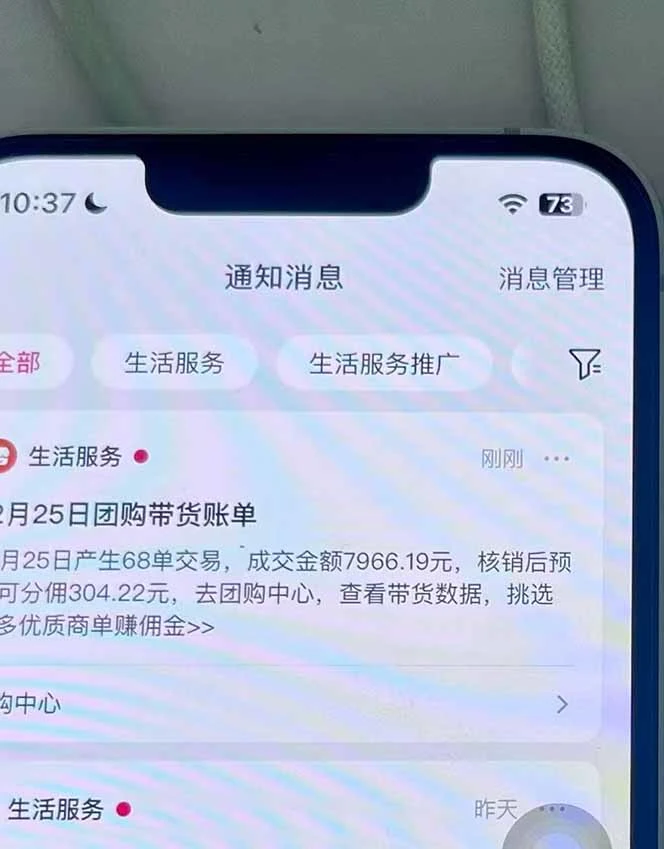 项目介绍截图