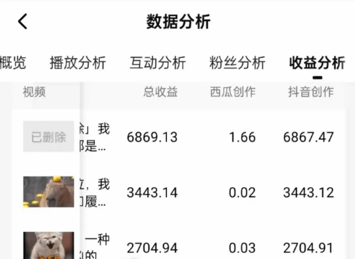 中视频收益数据截图