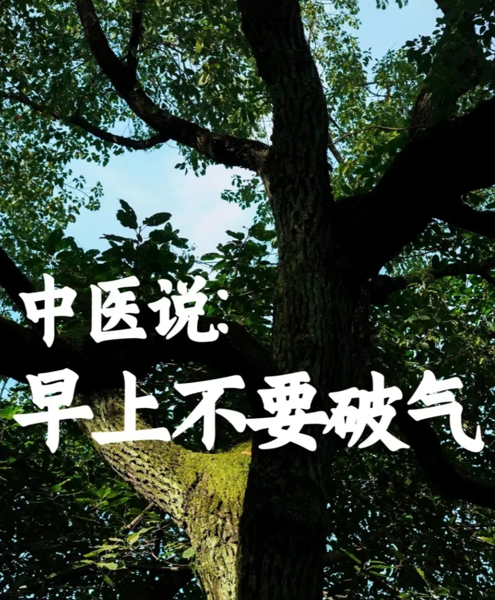 小红书养生虚拟资料，19.9的单价引流私域，多账号矩阵放大年入50W的实操拆解 - 插图 8