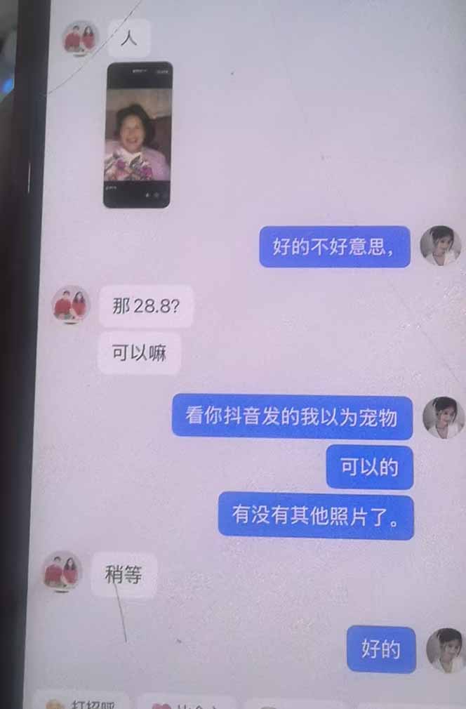 作品截图示例