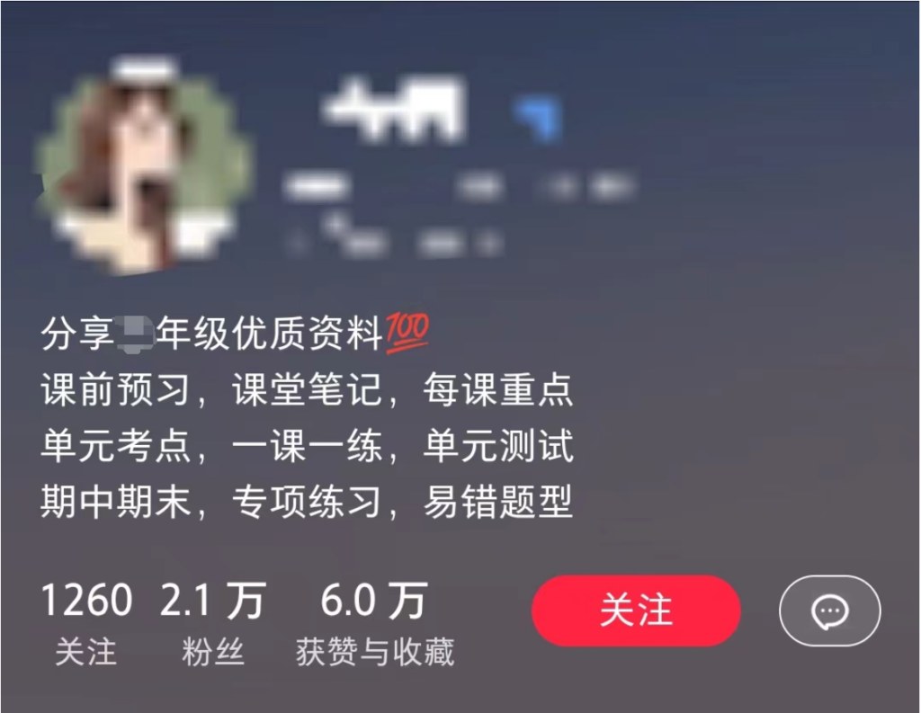 小红书小学资料虚拟项目，11个月收入20w，引流8000老师家长粉的实操复盘 - 缩略图