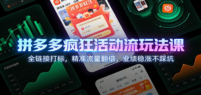 拼多多活动流实战课，全链接打标带动精准流量翻倍，王校长和标哥手把手拆解 - 缩略图