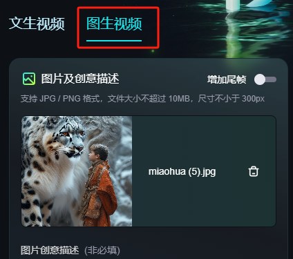 可灵AI图生视频的参数设置