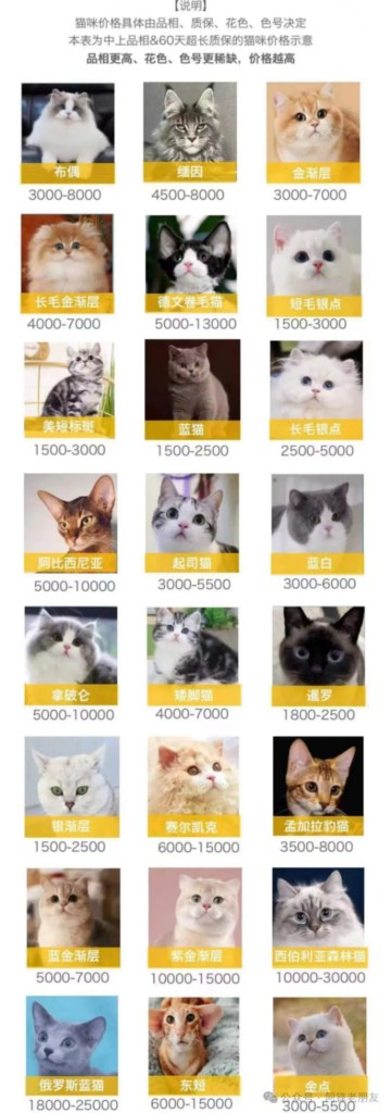 宠物猫分类与品种图