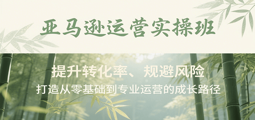 亚马逊运营实操课71节，AI选品、四层广告逻辑、Listing优化和账号风险规避 - 缩略图