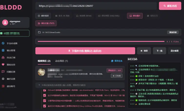 BLDDD 哔哩哔哩下载工具界面