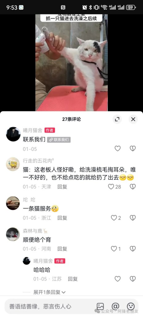 抖音蓝V私信组件效果