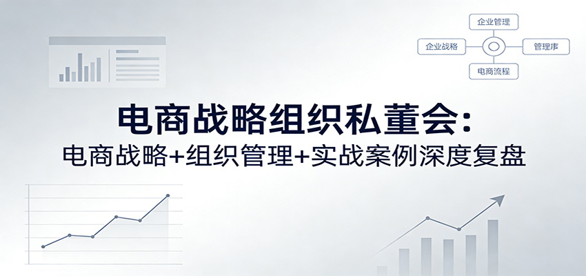 电商战略组织私董会闭门实录，蒋晖对谈创始人，聊品类选择、价格战和员工激励 - 缩略图