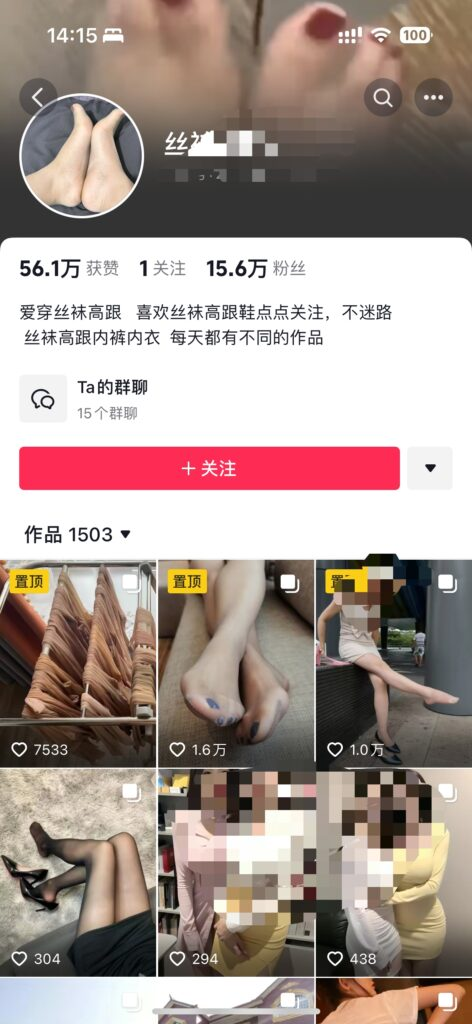 项目变现案例截图