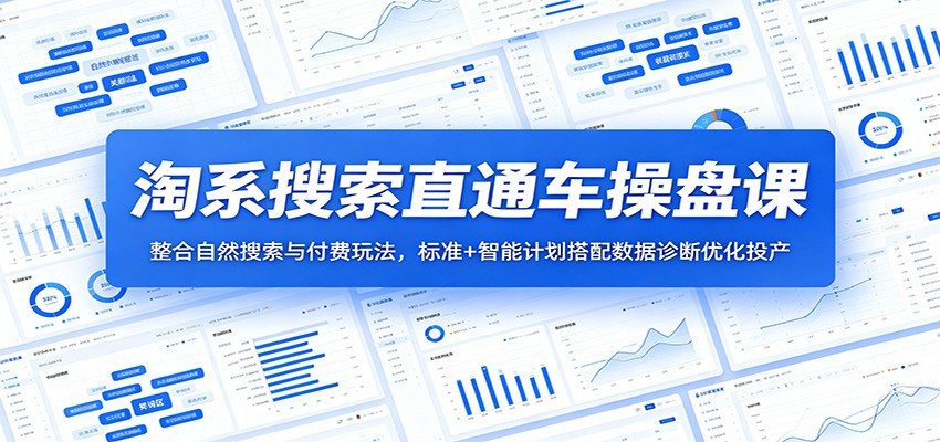 2026淘系自然搜索+无界直通车组合打法，标准计划与智能计划搭配，达摩盘人群和店铺诊断复盘 - 缩略图