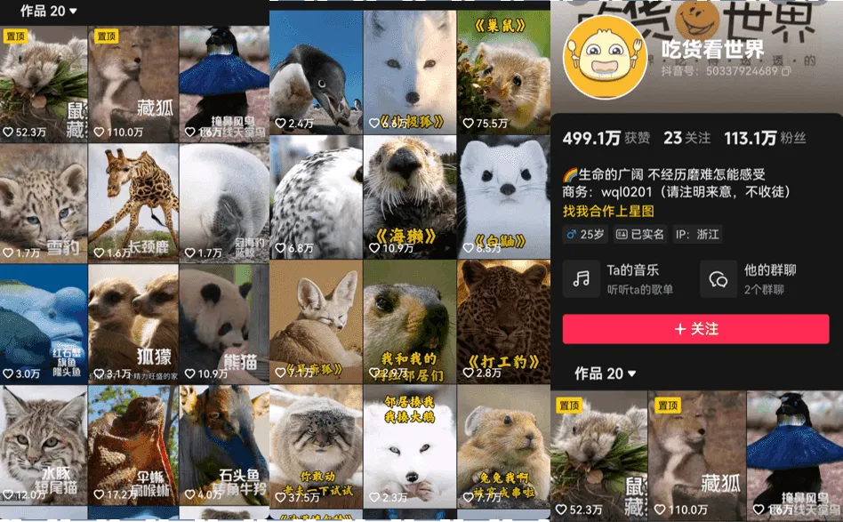 同类搞笑动物账号主页