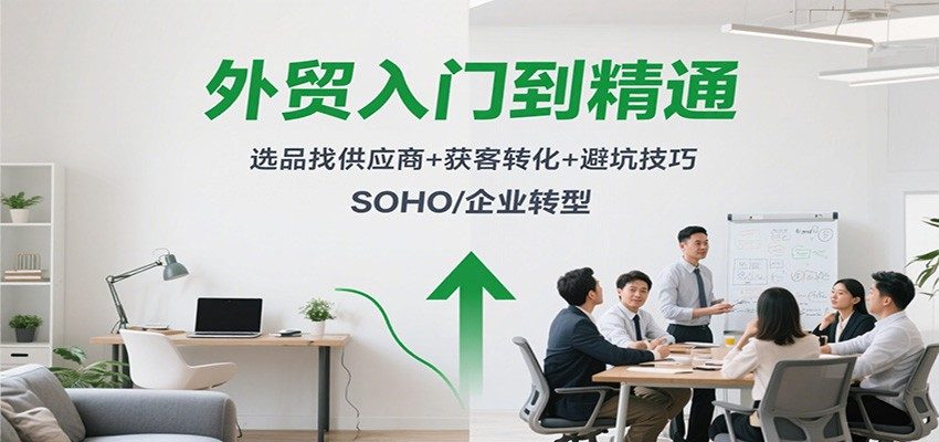 外贸入门15讲，选品找供应商、Google和社媒开发客户，转化收款与避坑，SOHO和内贸转型适用 - 缩略图