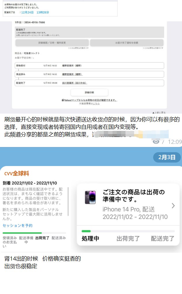 国外信用卡CVV撸货黑产拆解，料站真假比例1:100+，小白交学费被骗的避坑经历 - 缩略图