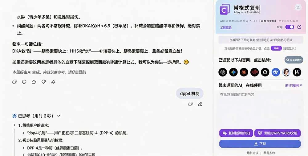 插件复制格式选项