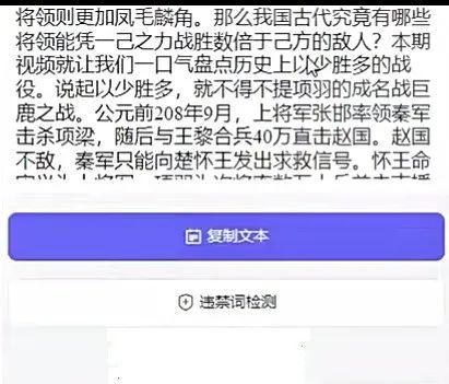 提取出来的整段解说文案