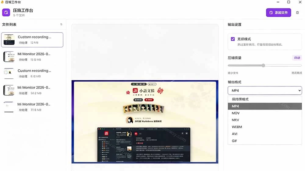 CompressO CN 压缩操作界面