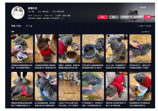 萌宠账号视频