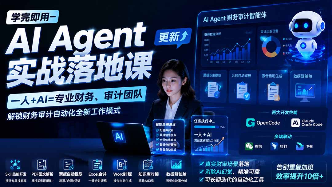 AI Agent财务审计实战，一人+AI搭团队，OpenCode实战，Excel合并、发票提取、审计底稿全流程 - 缩略图