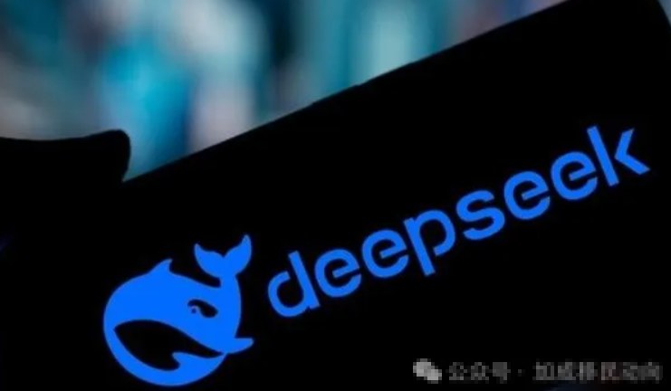 5所顶尖985高校DeepSeek培训教材合集，大模型入门到实战内容整理 - 缩略图