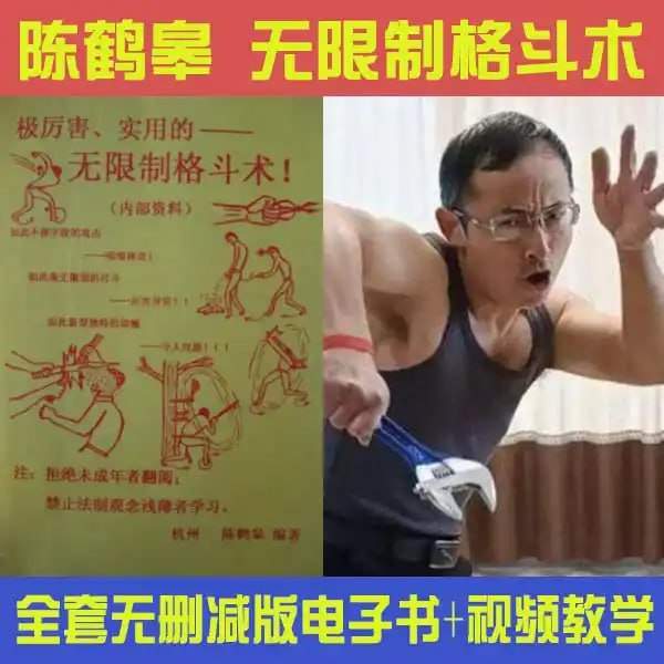 陈鹤皋无限制格斗实战训练合集，疯狗拳理念、徒手初级打法与功力训练视频 - 缩略图