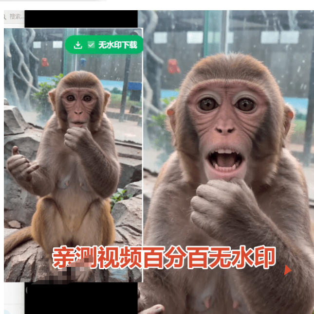 豆包去水印插件界面