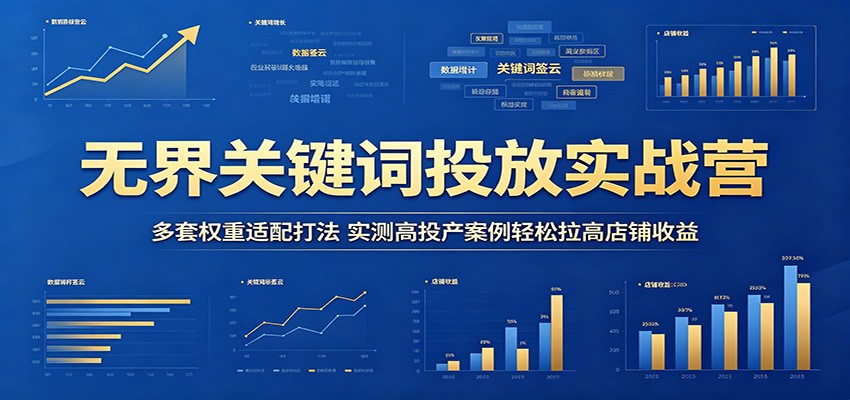 无界关键词投放实战，4重标准计划适配不同权重，30天687万投产比34的实操案例 - 缩略图