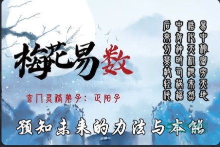 邵雍"梅花易数"天地人三册，易理与人事祸福相通，这套古法预测体系怎么读 - 缩略图
