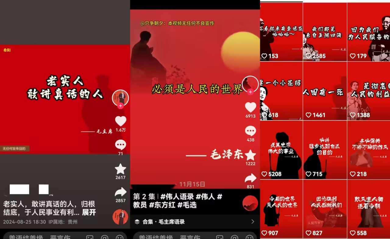 抖音蓝海小赛道卖毛选资料，单价9.9引流微信私域，两天出单单天变现100+的实操复盘 - 缩略图