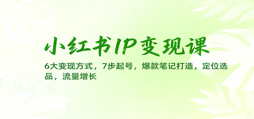 小红书IP变现陪跑课,6种变现方式加7步起号,爆款笔记到流量获取全流程 - 缩略图