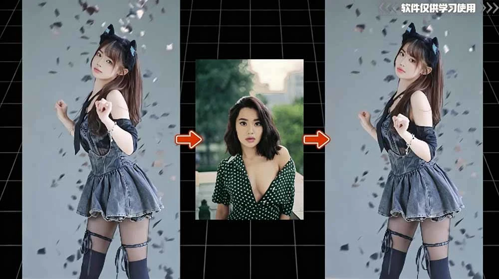 AI FaceSwap 软件界面截图