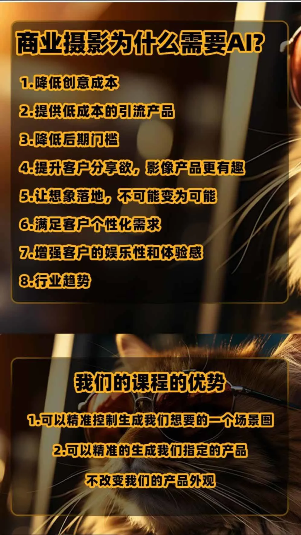 课程案例展示