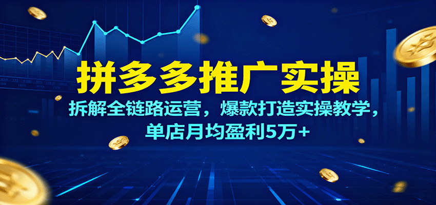 拼多多推广实操课，从店铺基础到测链接全链路拆解，单店月均盈利5万+ - 缩略图