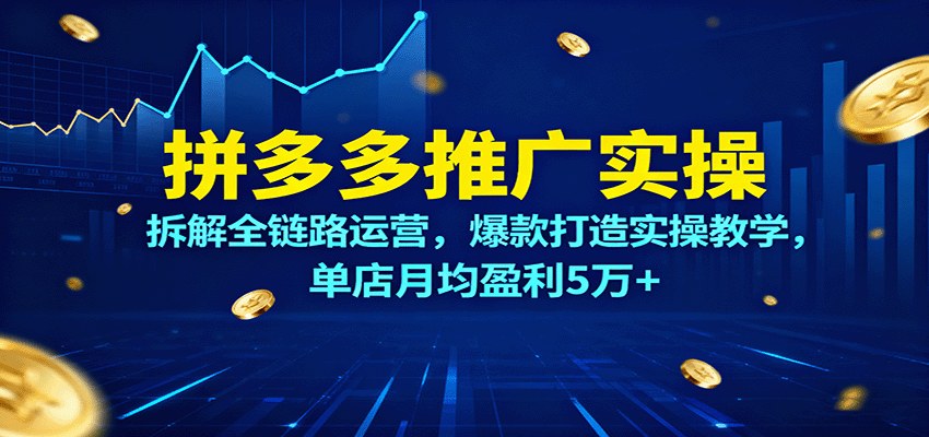 拼多多推广实操课,从店铺基础到测链接全链路拆解,单店月均盈利5万+ - 缩略图
