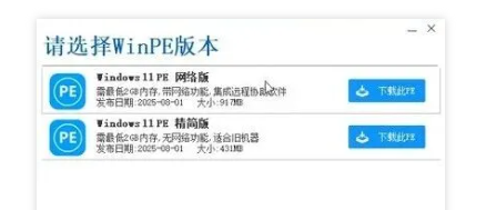 选择精简版 PE