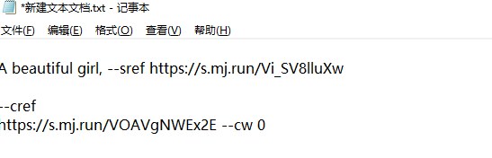 参数书写格式示例