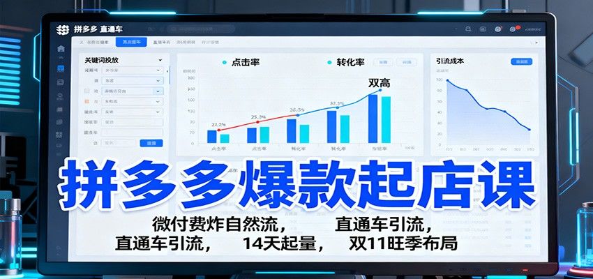 拼多多微付费+直通车起店课,14天爆款起量,18节实操覆盖旺季布局与财税风险 - 缩略图