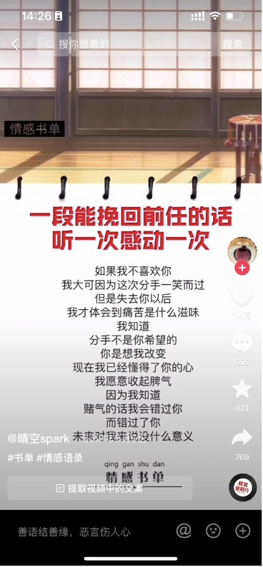 视频书单作品形式