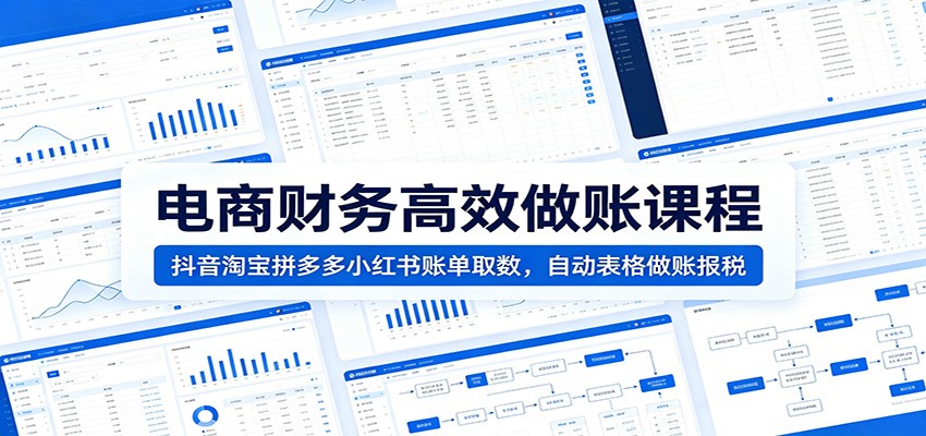 抖音淘宝拼多多小红书电商财务做账，四大平台账单取数对账，自动表格核算到增值税报税 - 缩略图