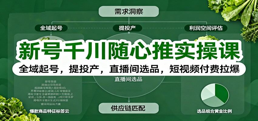 千川随心推新号起号实操课，6天直播从全域投放到短视频付费拉爆全流程 - 缩略图