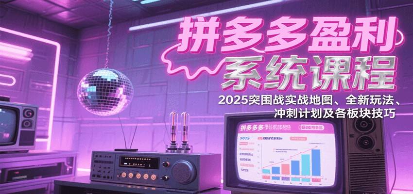 拼多多2025盈利系统课，强付费推广、活动玩法到店铺诊断，更新到8月 - 缩略图