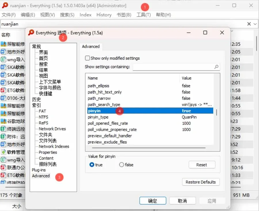 Everything 拼音搜索设置界面