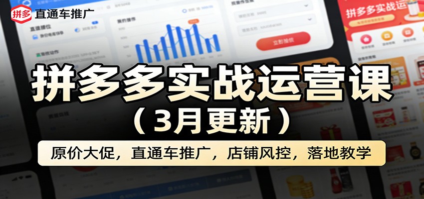 拼多多店铺运营实战课90节，选品定价、直通车高投产、原价上大促、限流断流处理，更新至2026年3月 - 缩略图