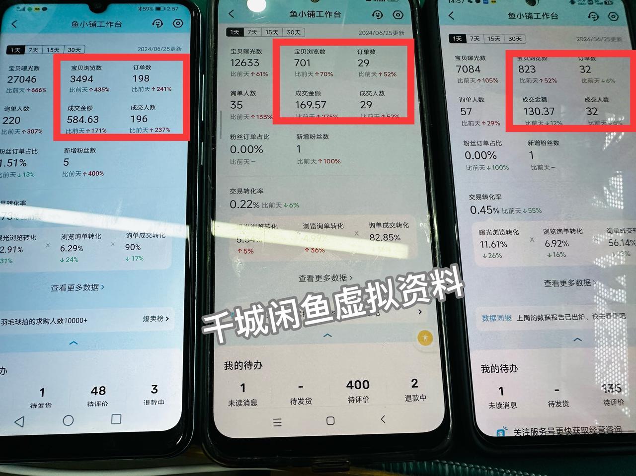 闲鱼虚拟资料利润数据