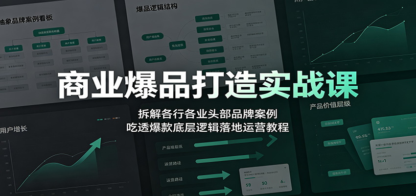 爆品打造30讲，拆解西贝、元气森林、喜茶等30个头部品牌案例，讲透可复用的爆品打法 - 缩略图