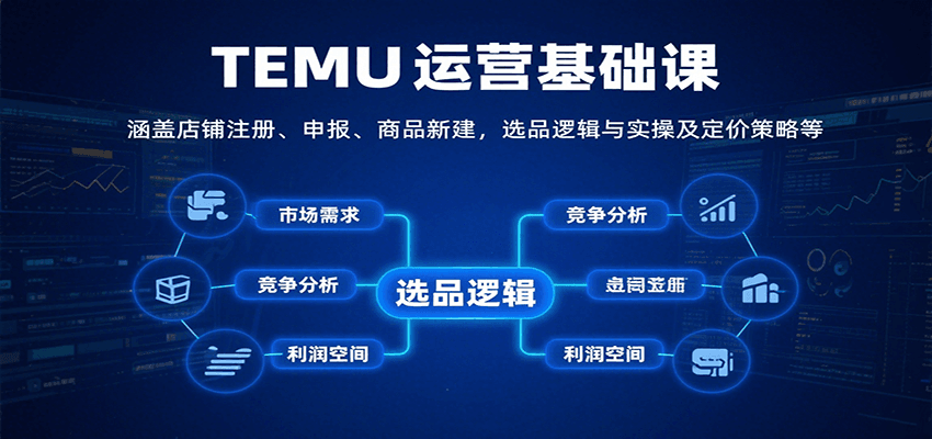 TEMU运营基础课 店铺注册申报到选品实操与定价策略全流程 - 缩略图