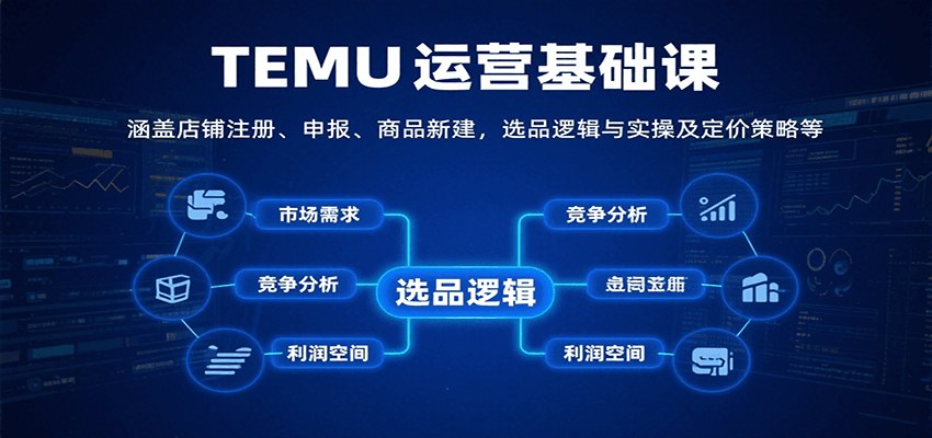 TEMU运营基础课 店铺注册申报到选品实操与定价策略全流程 - 缩略图