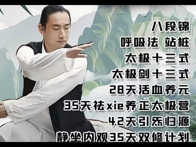 李在峰八段锦站桩太极拳十二段锦课，养元活血祛邪养正引炁归源全套讲解 - 缩略图